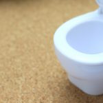 気になるトイレ床のほこりの効率的な掃除方法!一人暮らし男の知恵!