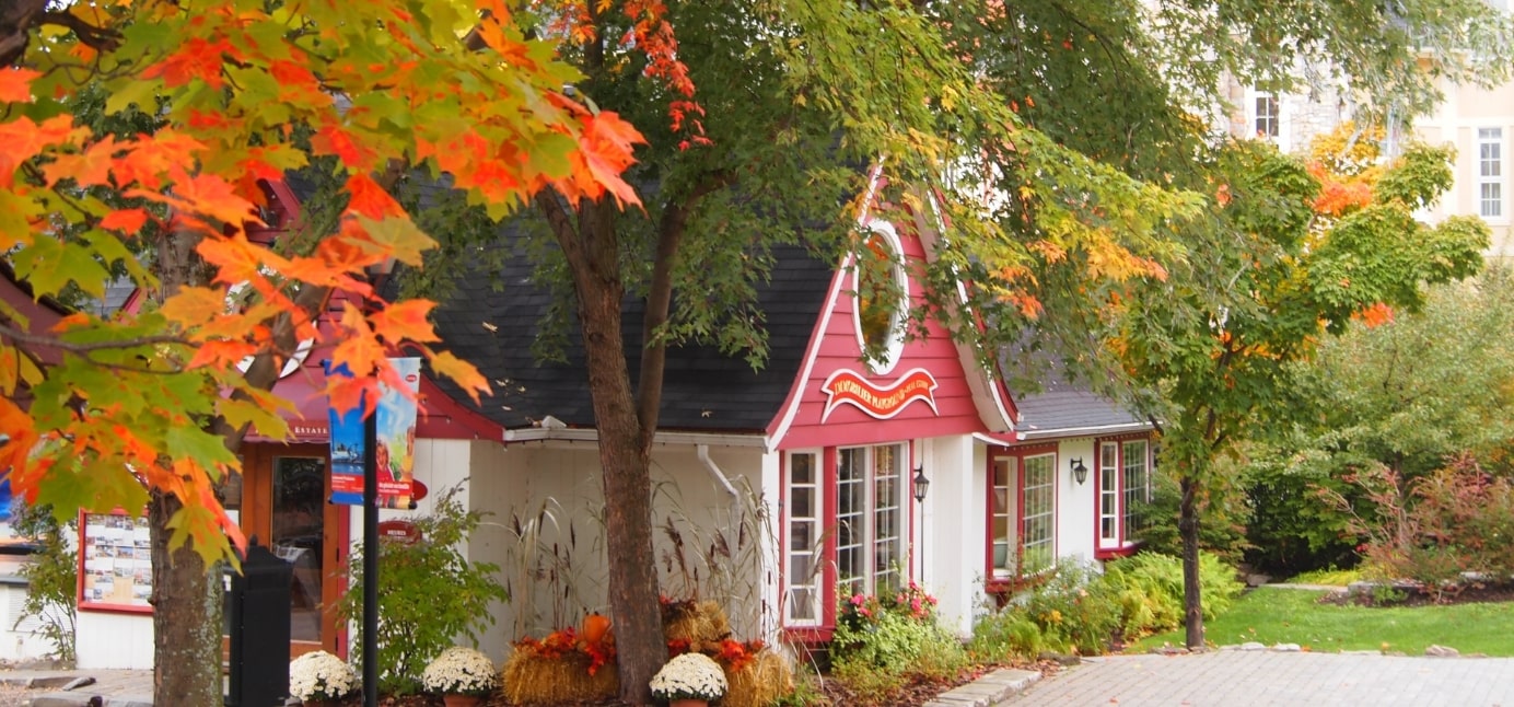 秋の家